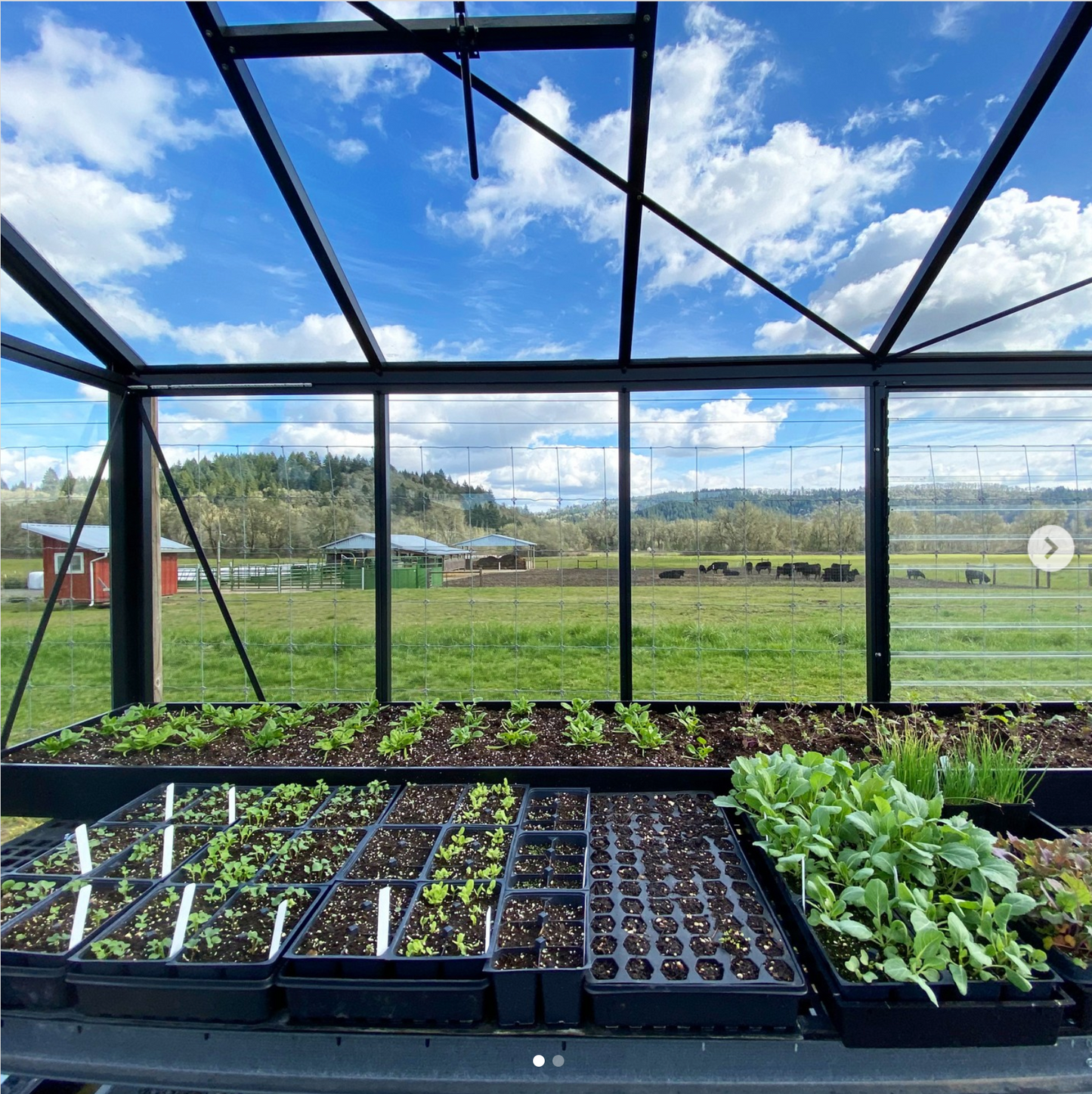 10'x20' Royal Victorian Glass Greenhouse (VI36)