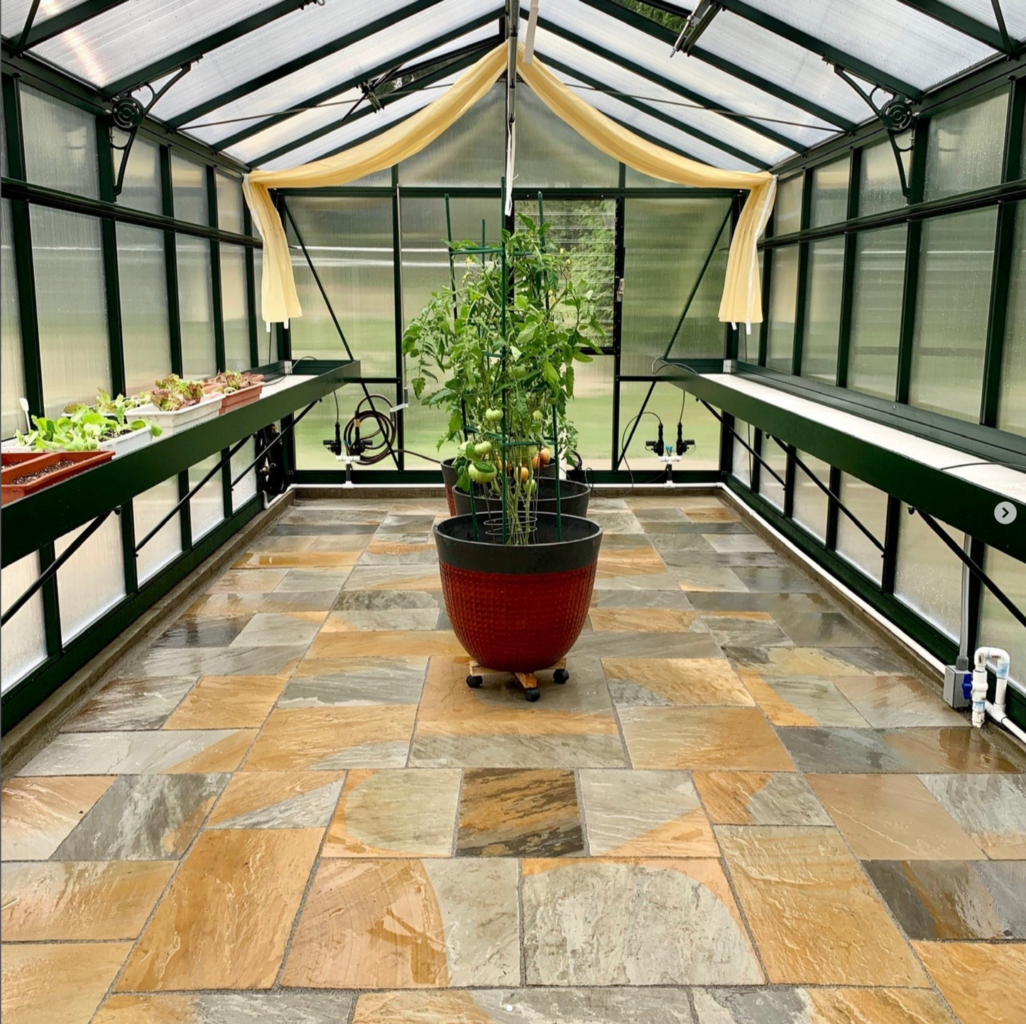 10'x20' Royal Victorian Glass Greenhouse (VI36)
