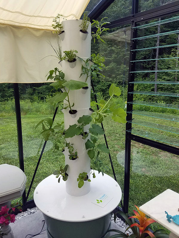 12'x20' Royal Victorian Glass Greenhouse (VI46)