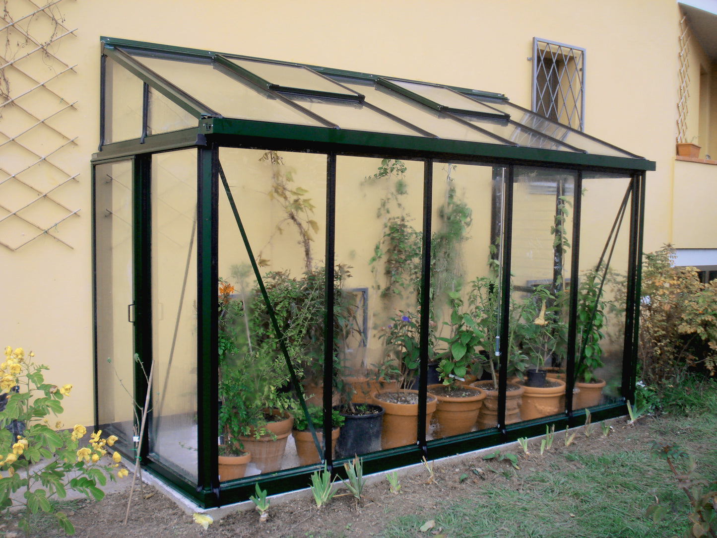 Arcadia Lean-to Glass Greenhouse (3 Sizes)