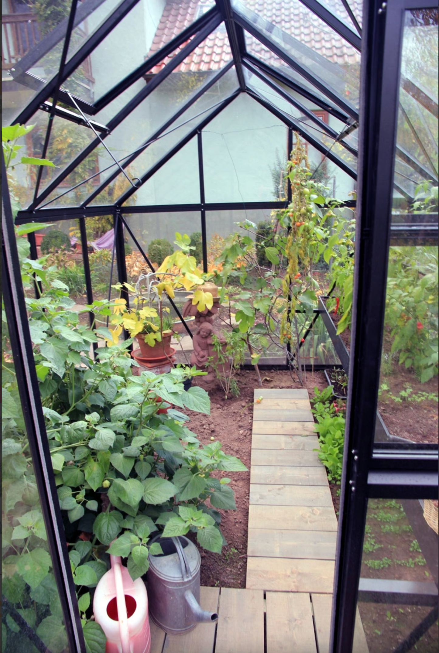 Junior Victorian Glass Greenhouse (3 Sizes)