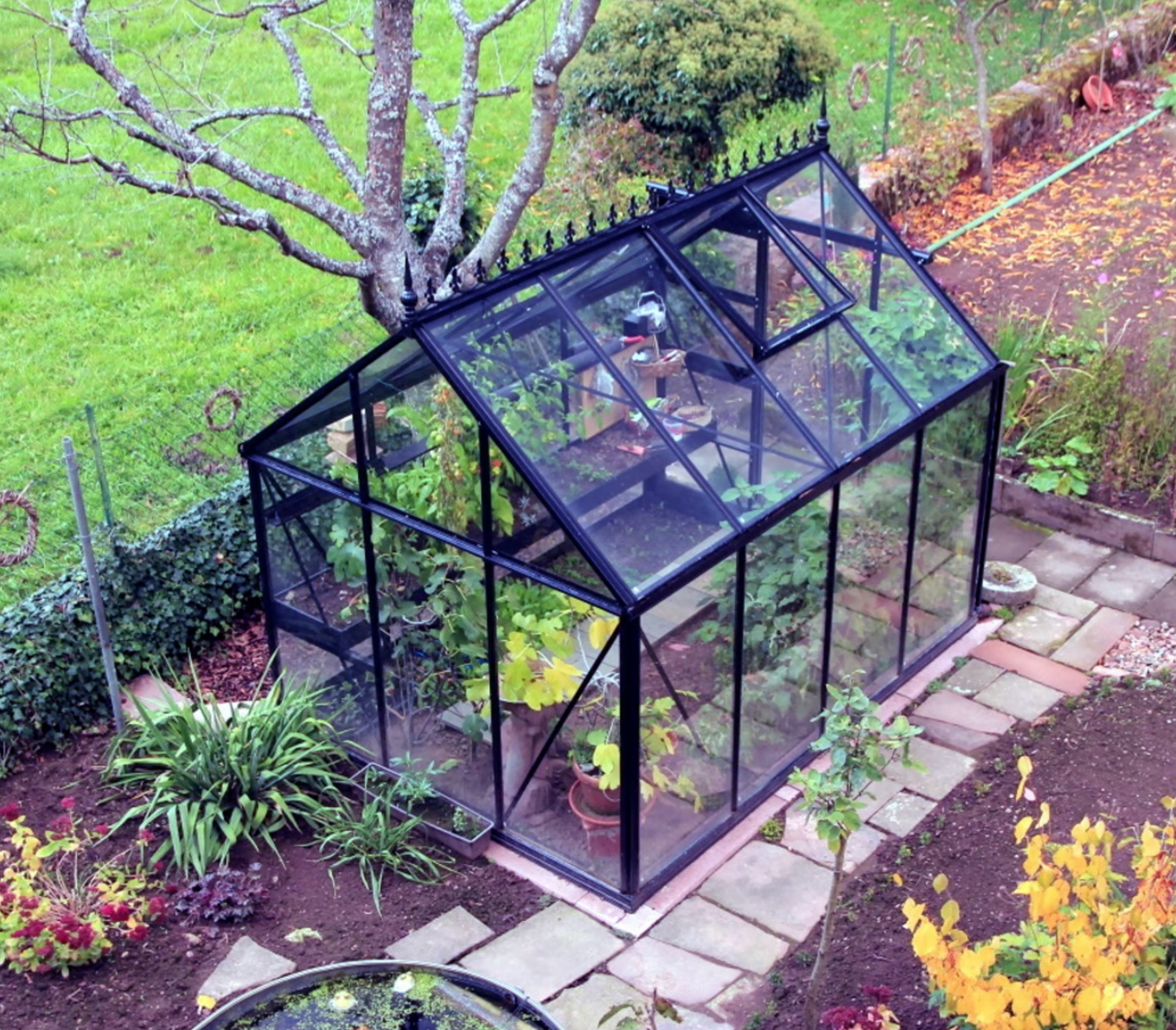 Junior Victorian Glass Greenhouse (3 Sizes)