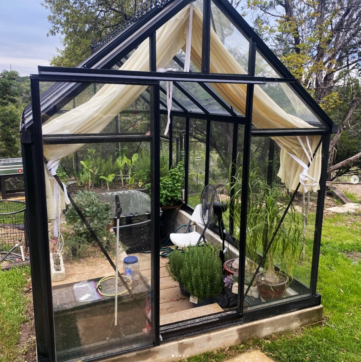 Junior Victorian Glass Greenhouse (3 Sizes)