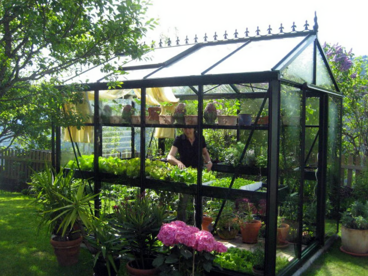 8'x10' Royal Victorian Glass Greenhouse (VI23)