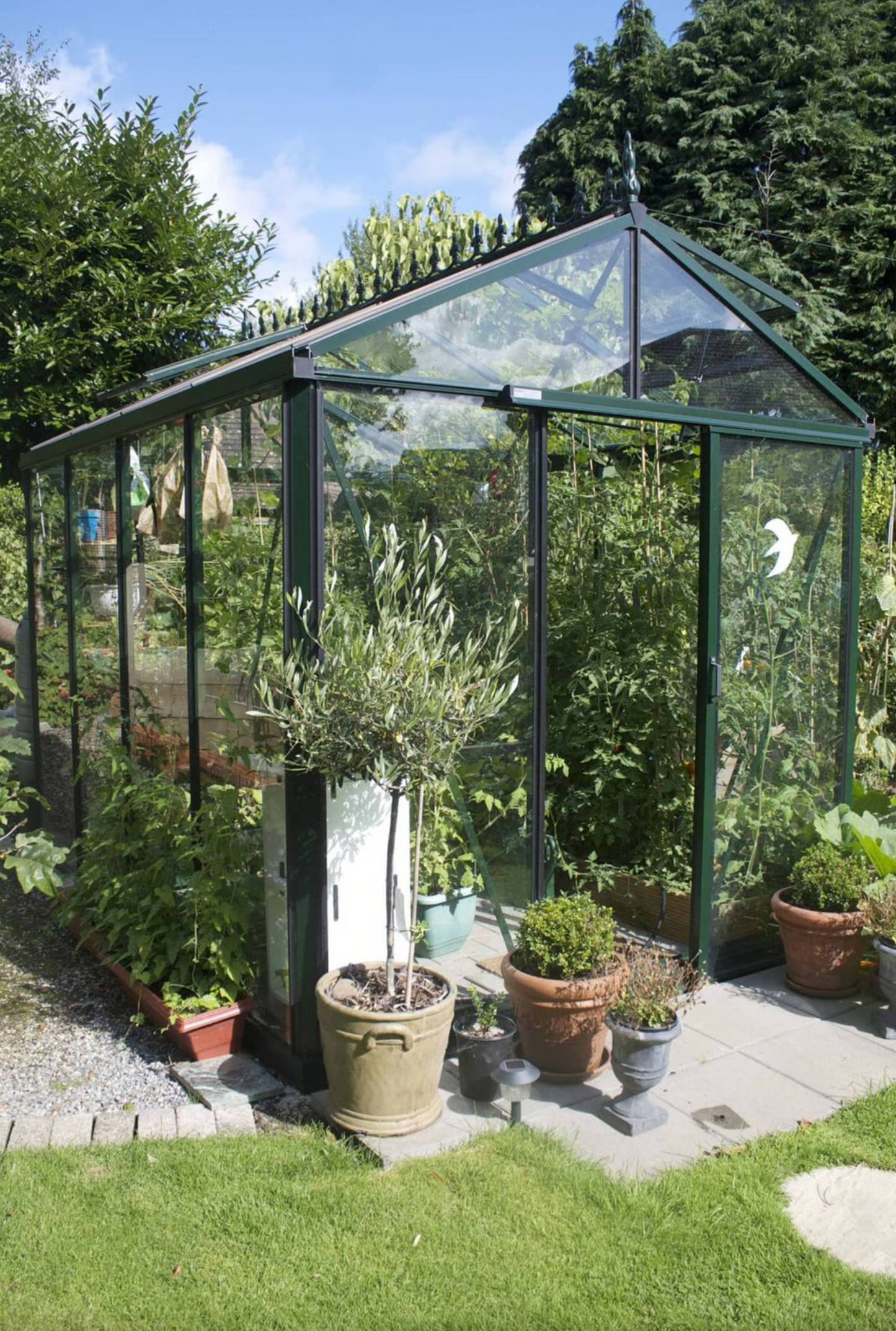 8'x10' Royal Victorian Glass Greenhouse (VI23)