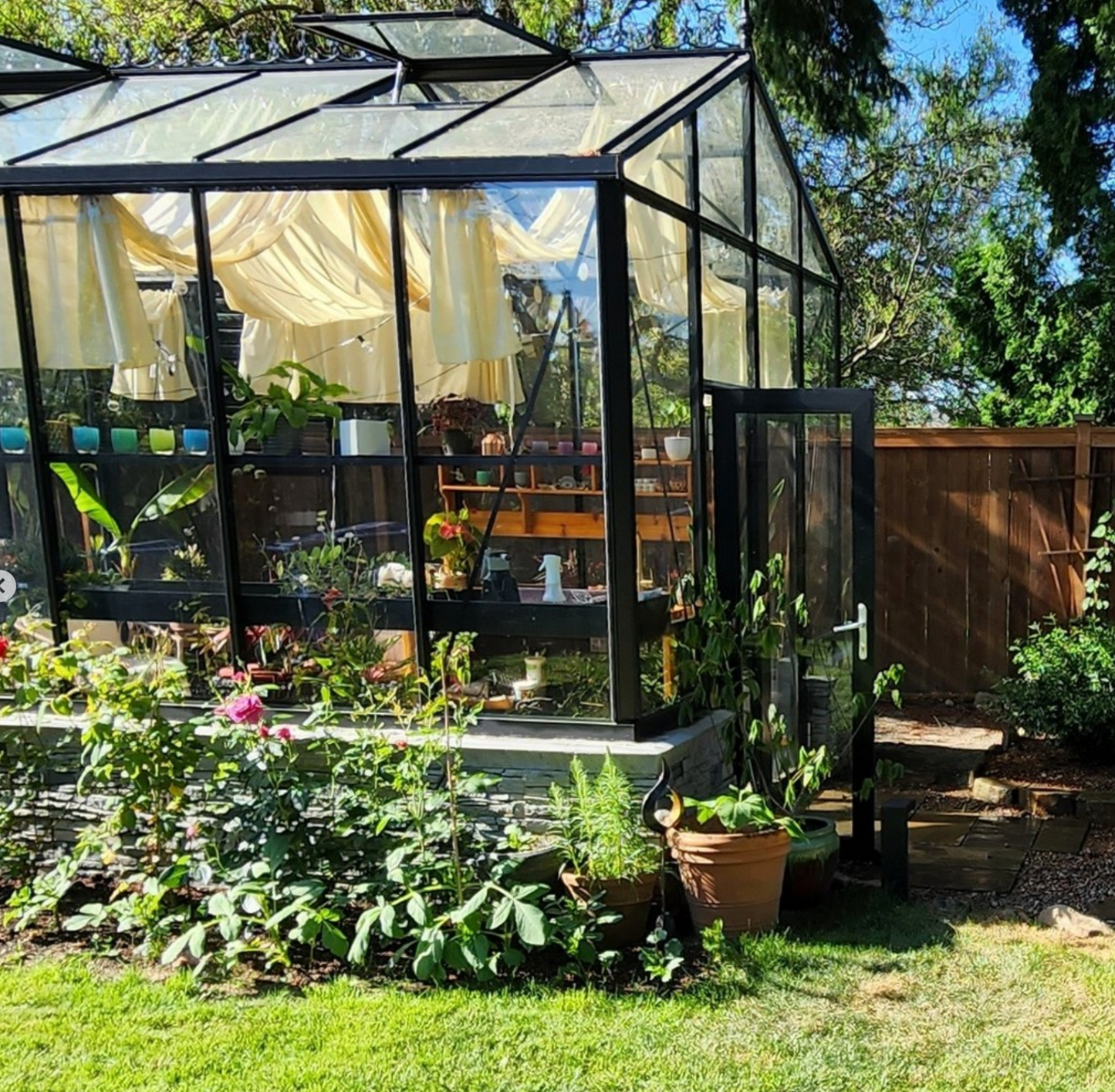 10'x15' Royal Victorian Glass Greenhouse (VI34)