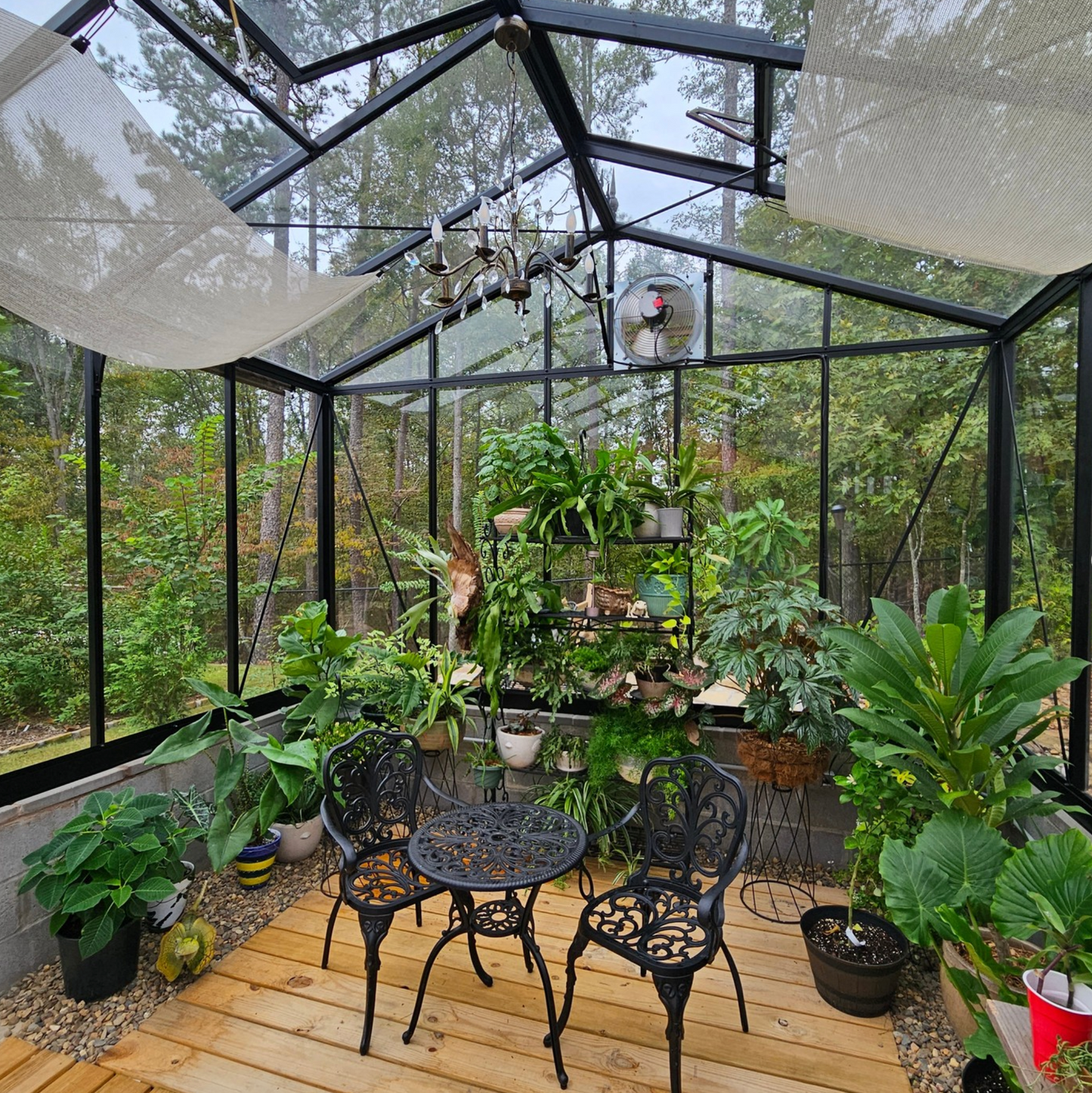 12'x20' Royal Victorian Glass Greenhouse (VI46)