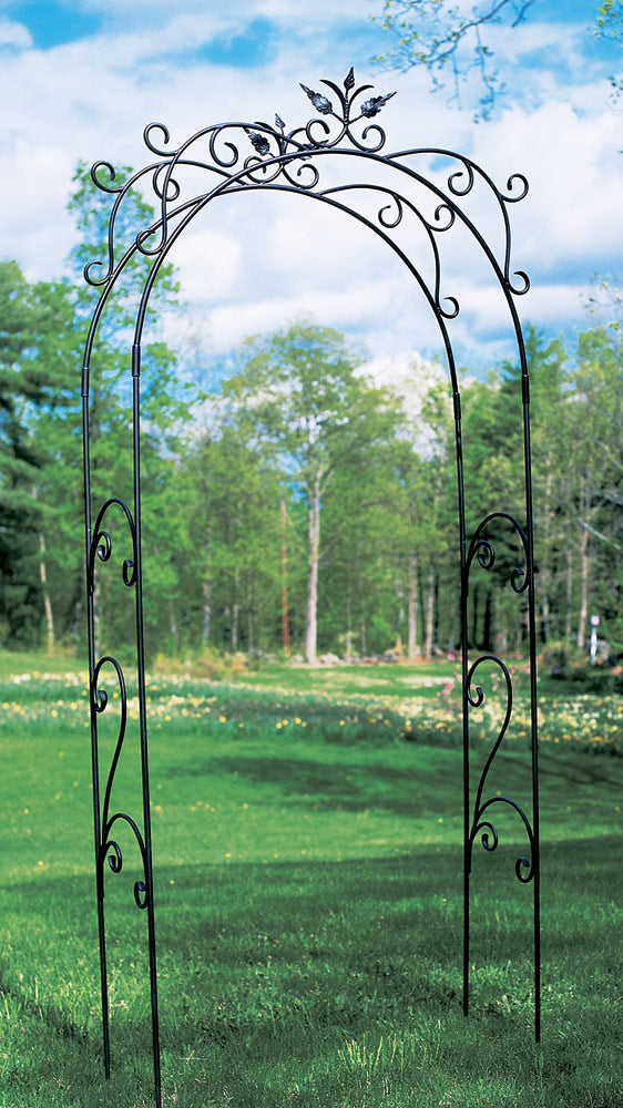 Tuileries Decorative Iron Arbor