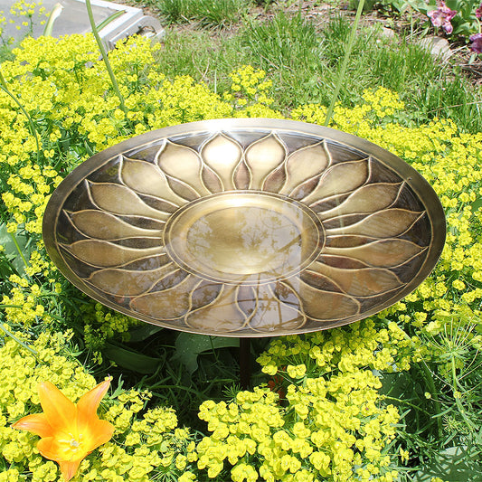 African Daisy Brass Birdbath