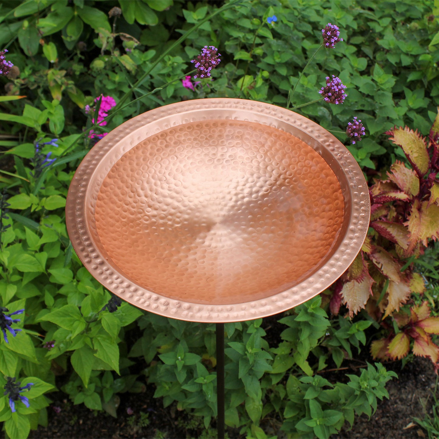 Hammered Solid Copper Birdbath