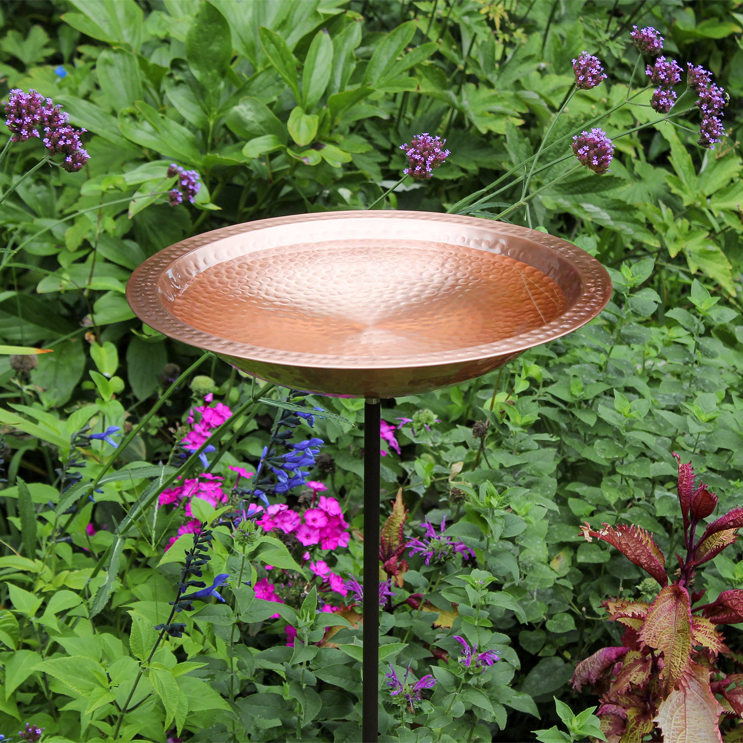 Hammered Solid Copper Birdbath