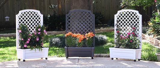 Calypso Planter with Trellis