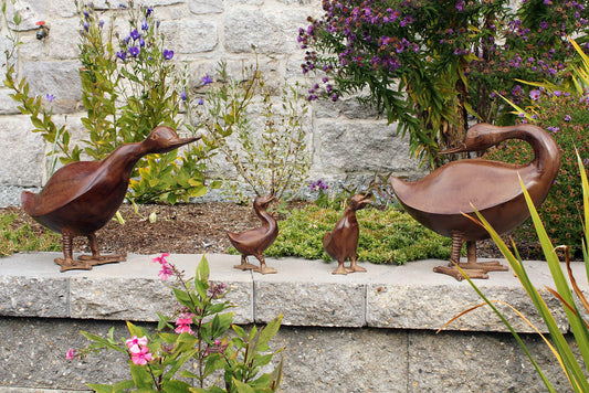 Bronze Duck Family