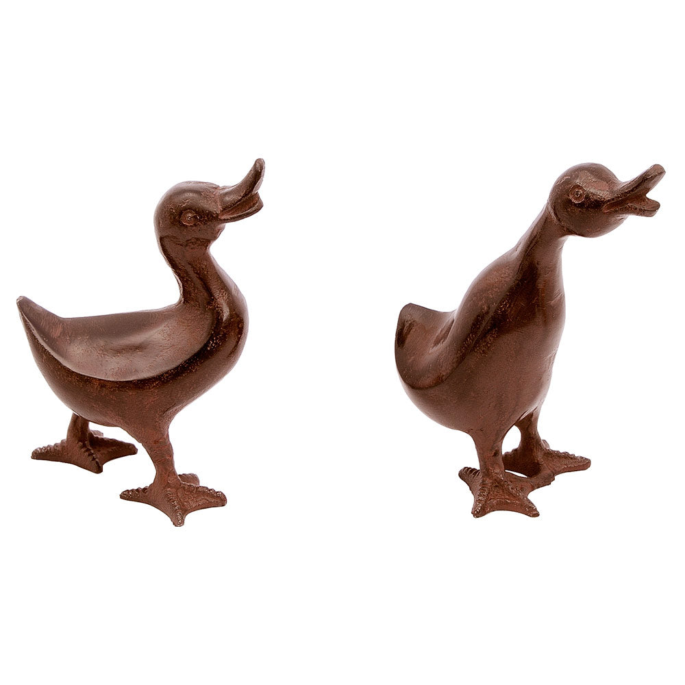 Bronze Duck Family