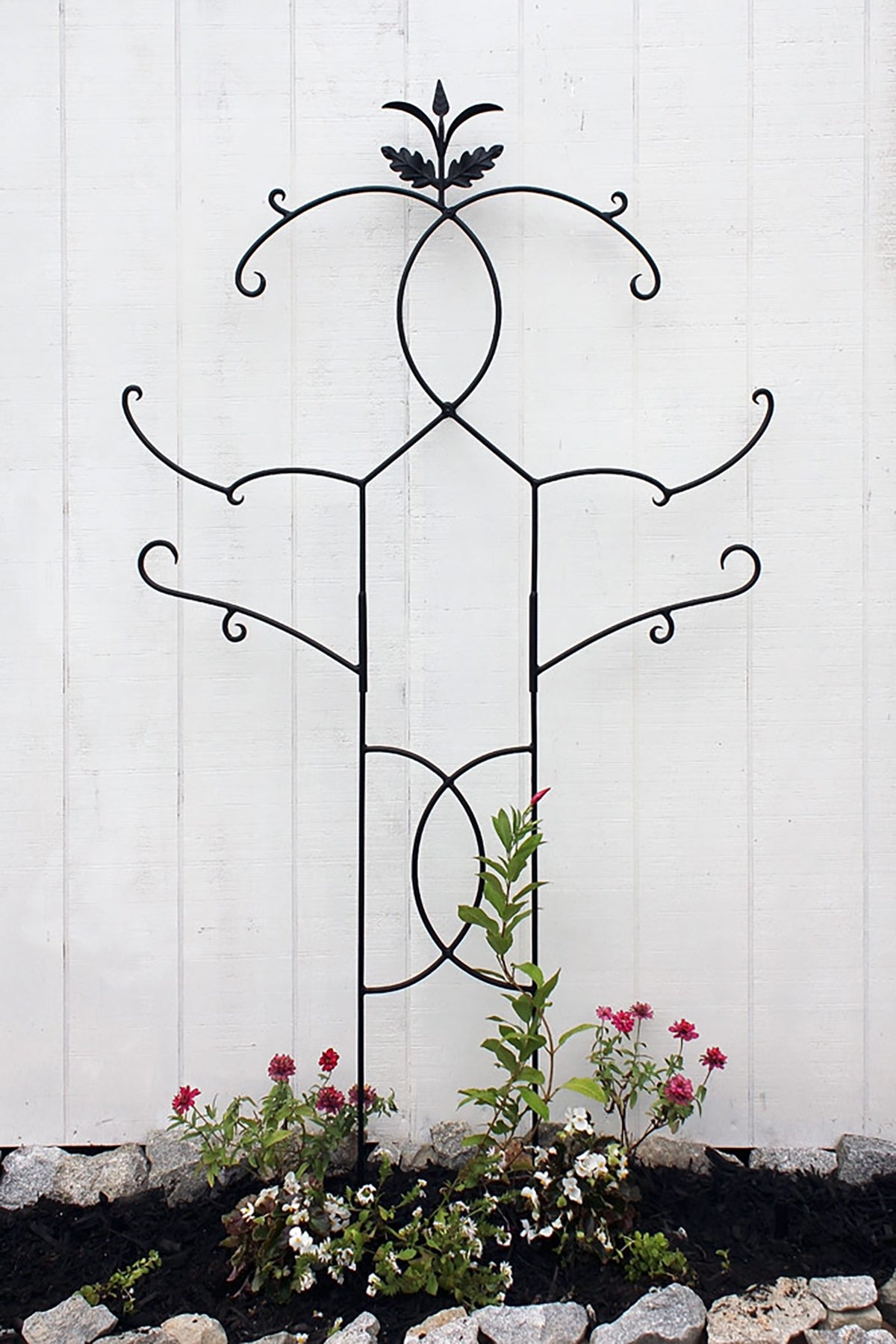 Tendrils Trellis II