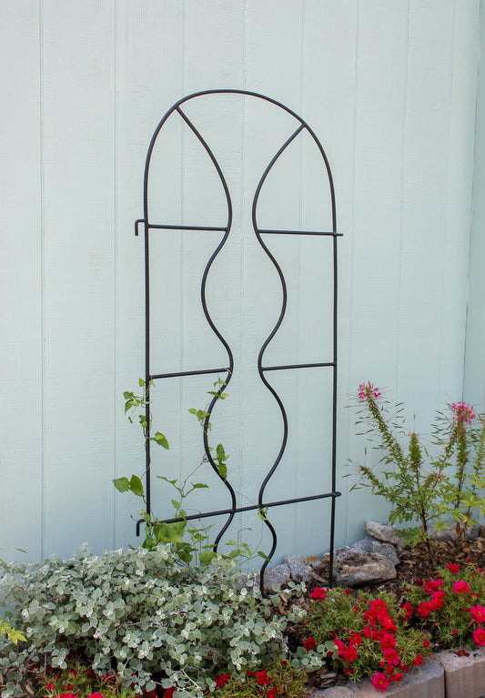 Orangerie Trellis
