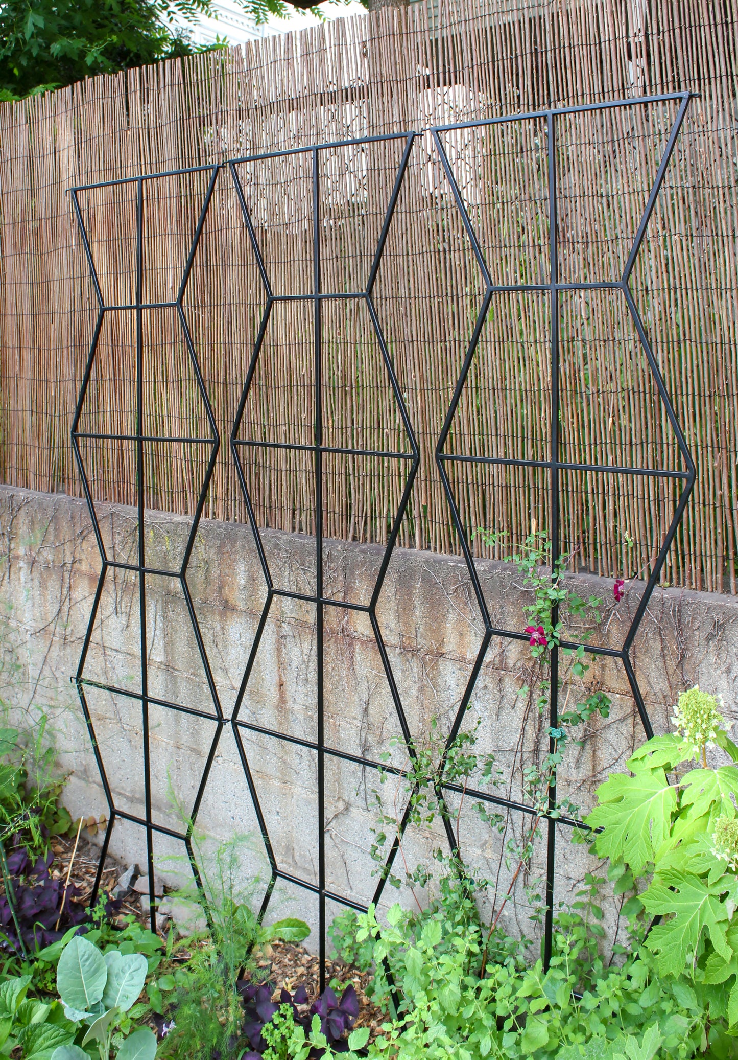 Zigzag Screen Trellis