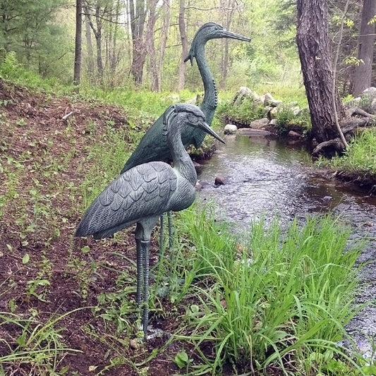 Stately Blue Heron Pair