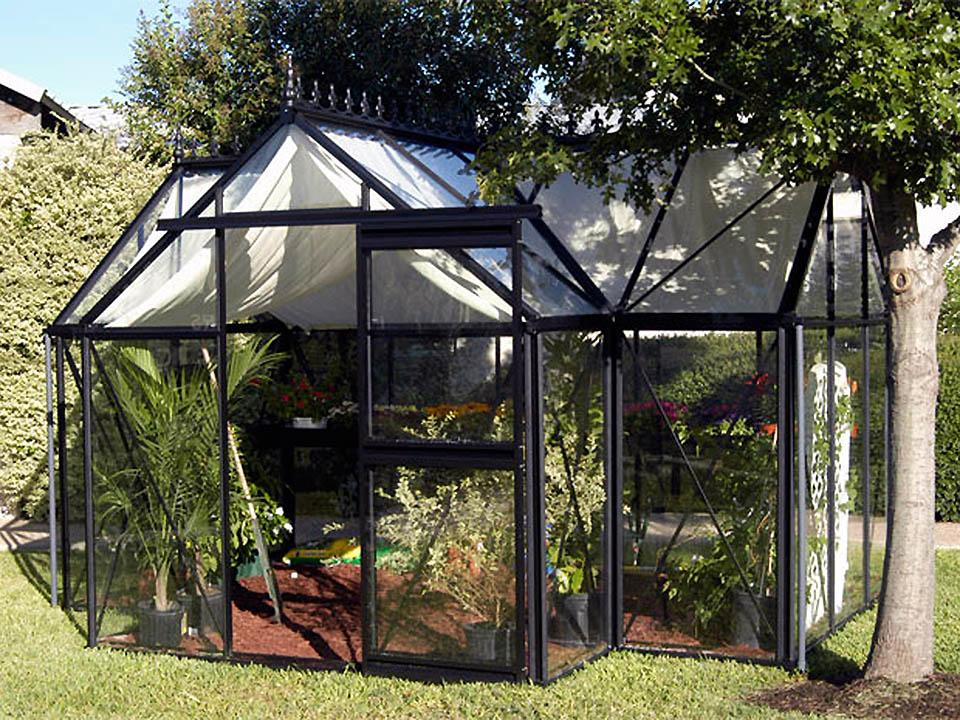 10'x13' Junior Orangerie Glass Greenhouse