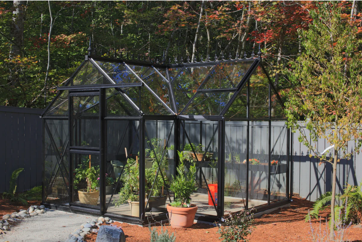 10'x13' Junior Orangerie Glass Greenhouse