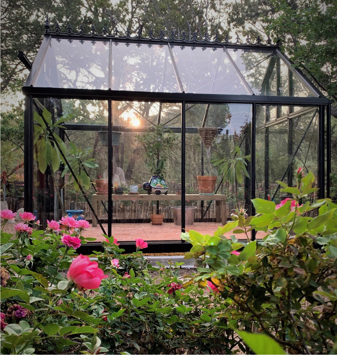 Junior Victorian Glass Greenhouse (3 Sizes)