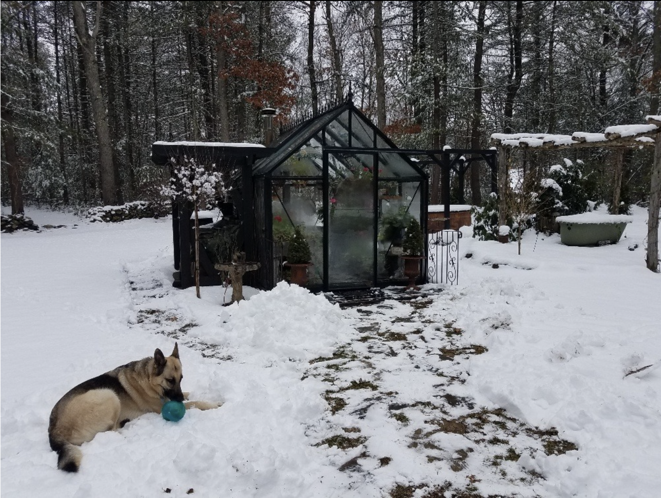 Junior Victorian Glass Greenhouse (3 Sizes)