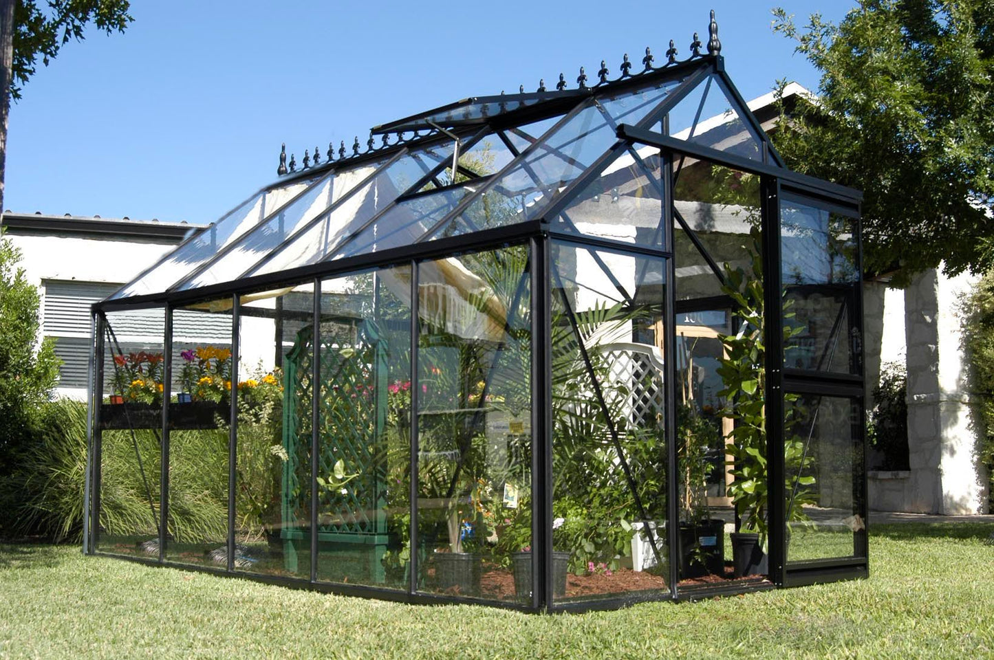 Junior Victorian Glass Greenhouse (3 Sizes)