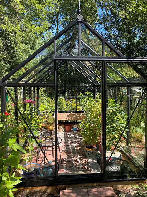 Junior Victorian Glass Greenhouse (3 Sizes)