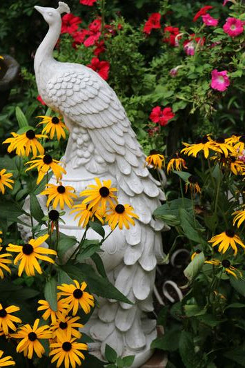 Royal Peacock on Urn Garden Sculpture