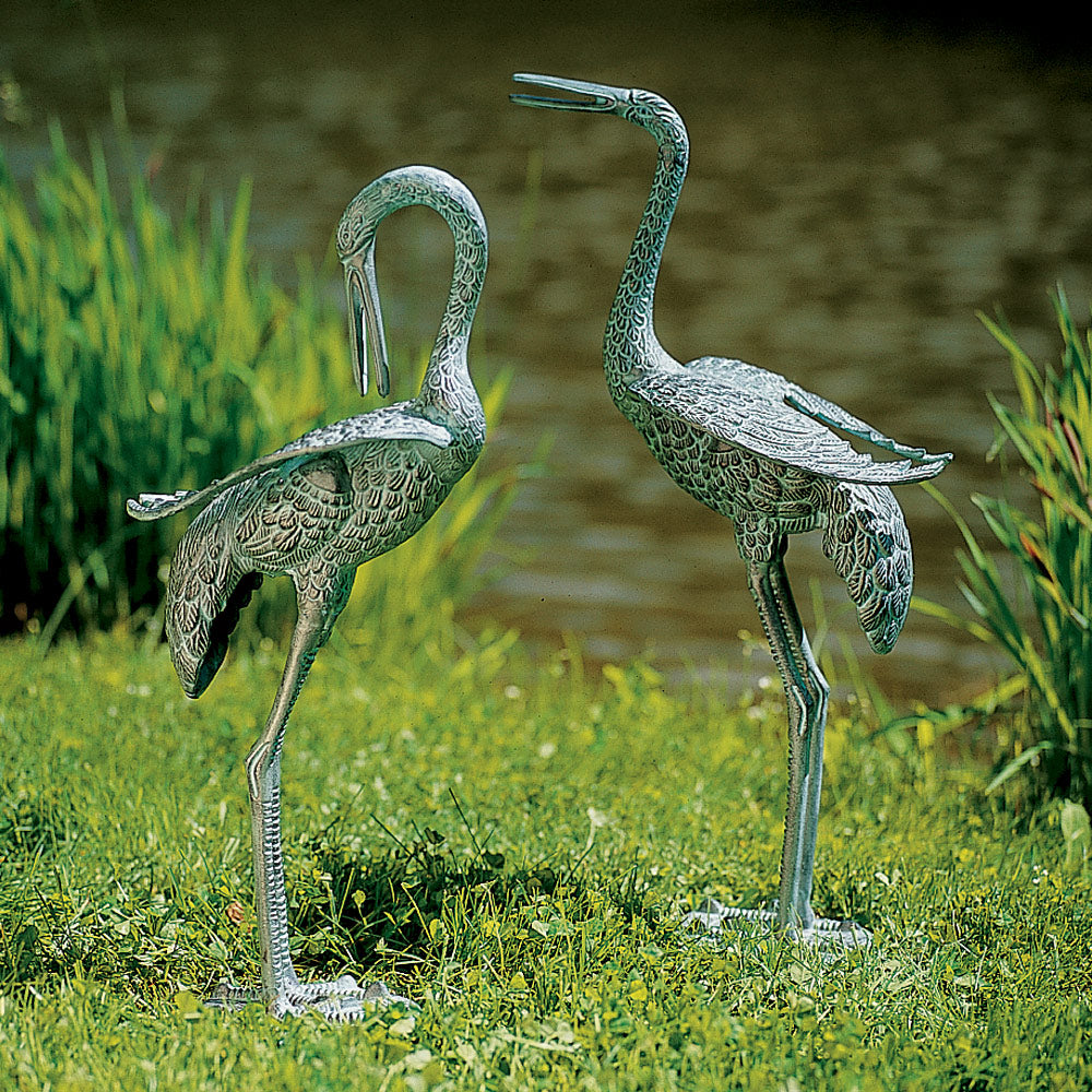 Preening Crane Pair