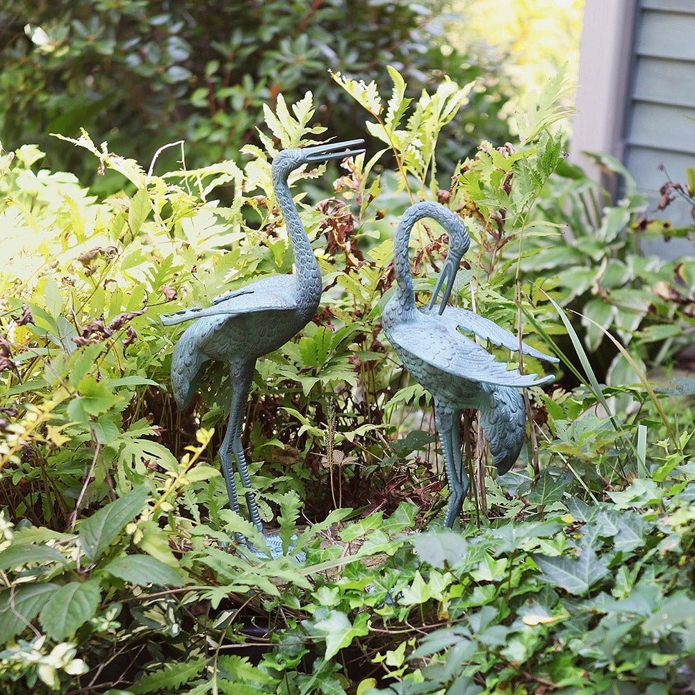 Preening Crane Pair