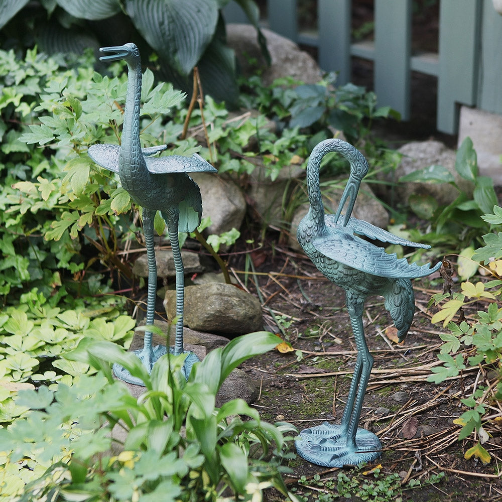 Preening Crane Pair