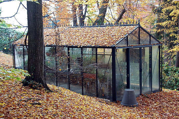 10'x20' Royal Victorian Glass Greenhouse (VI36)