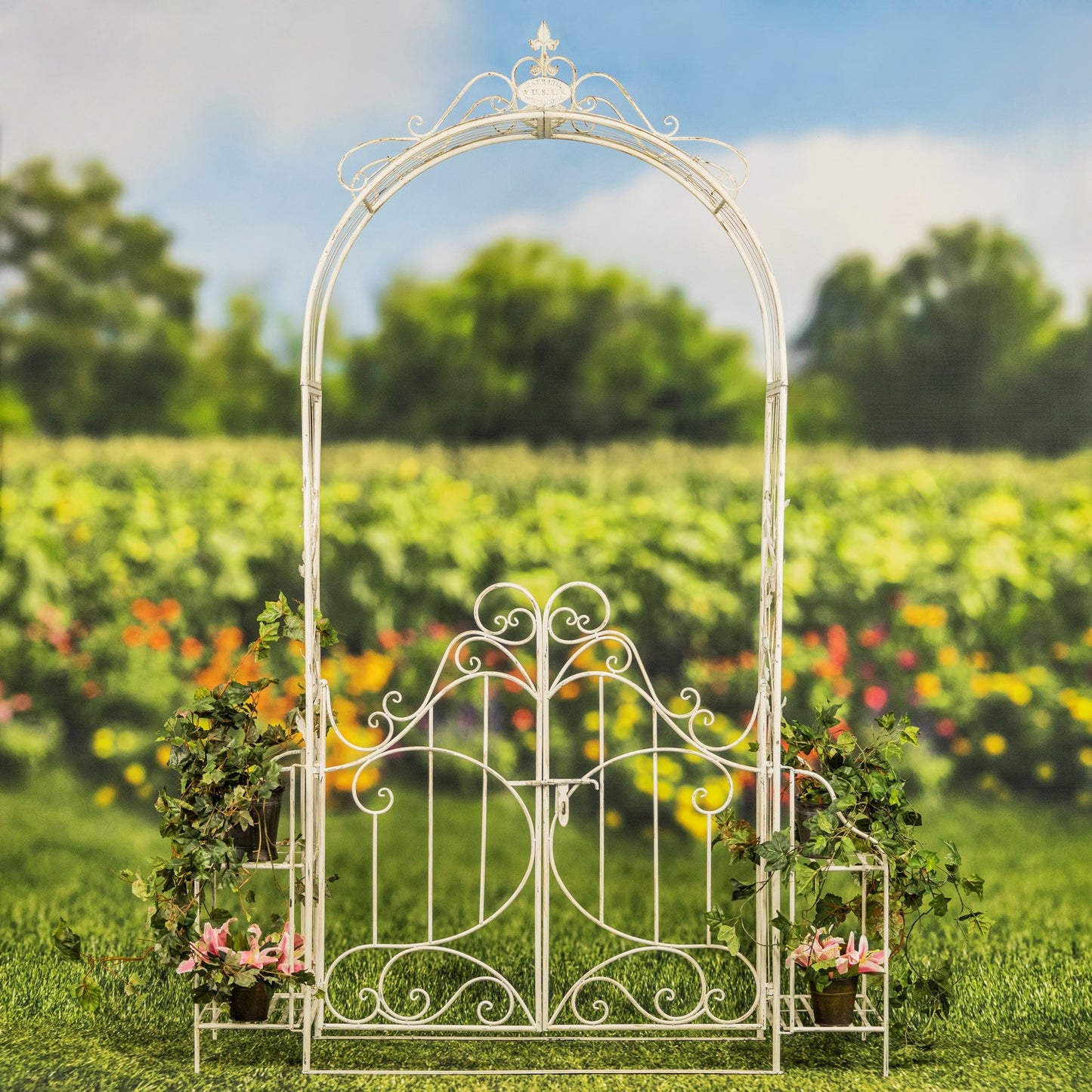 Stephania Iron Garden Arch Gate