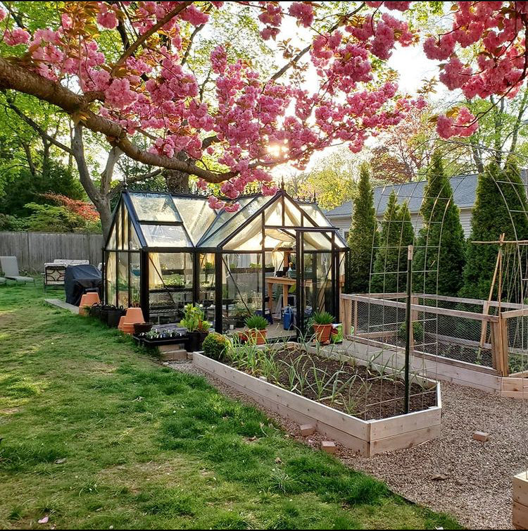 10'x13' Junior Orangerie Glass Greenhouse